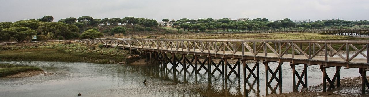 24 Marzo Jornada De Iniciacion Al Nordic Walking Por Marismas De El Rompido Babel Nature